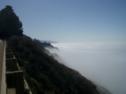 Overlooking the marine layer